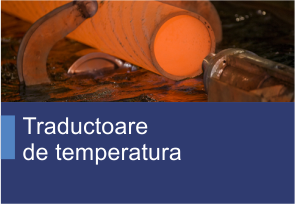 Traductoare de temperatura - Produse TehnoINSTRUMENT